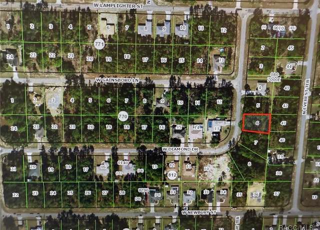 Property at 1454 W Diamond Dr, Citrus Springs, FL 34434