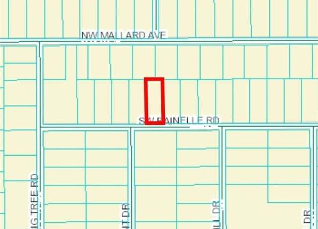 Property at Lot 20 SW Rainelle Rd, Dunnellon, FL 34431