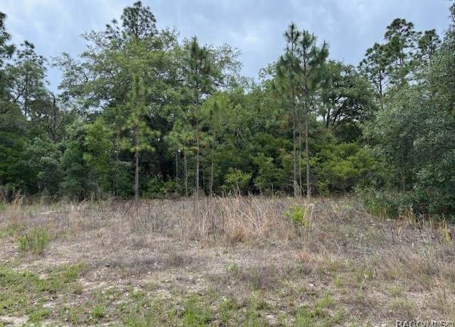 Property at 4601 N Baywood Dr, Beverly Hills, FL 34465
