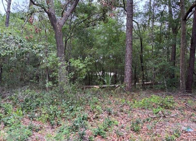 Property at 8949 N Cortlandt Dr, Citrus Springs, FL 34434
