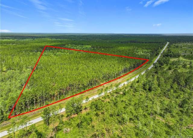 Property at TBD CR 336, Chiefland, FL 32626