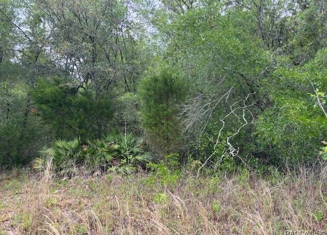 Property at 93 N Croft Ave, Inverness, FL 34453