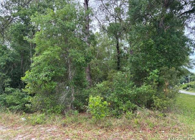 Property at 359 N Fitzpatrick Ave, Inverness, FL 34453