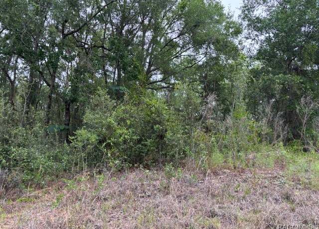 Property at 6717 E Gentry St, Inverness, FL 34452