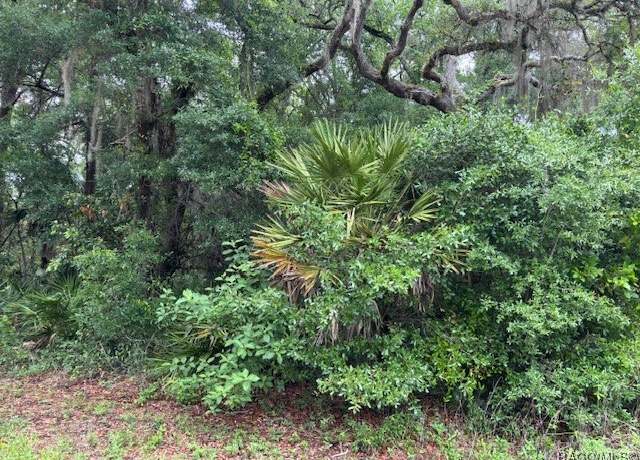 Property at 9657 W Gardeners Ln, Crystal River, FL 34428