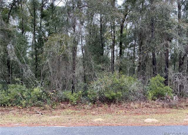 Property at 954 E Abend Dr, Citrus Springs, FL 34434
