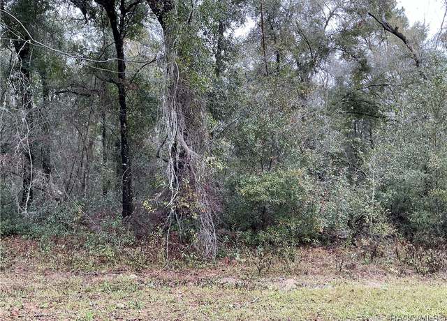 Property at 958 E Abend Dr, Citrus Springs, FL 34434
