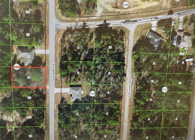 Property at 8002 N Susan Ave, Dunnellon, FL 34433
