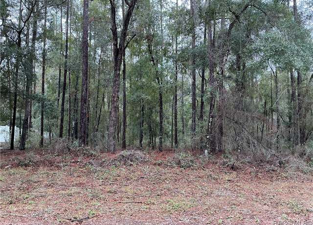 Property at 8710 N Spikes Way, Dunnellon, FL 34434