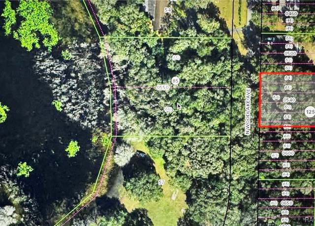 Property at 533 N Woodlake Ave, Inverness, FL 34453