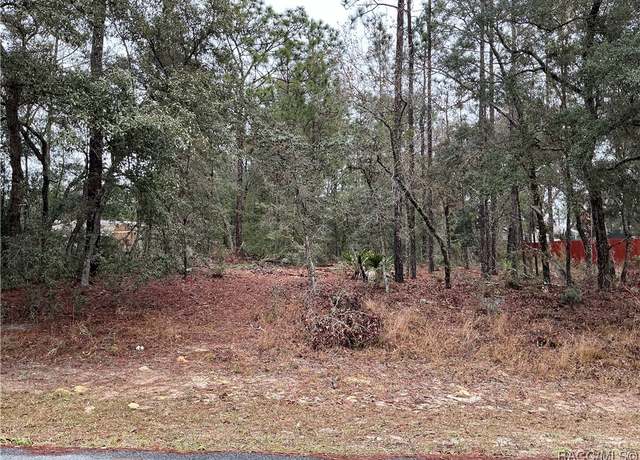 Property at 8077 N Gulliver Way, Citrus Springs, FL 34434