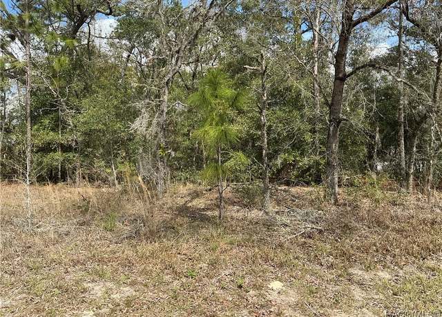 Property at 11029 N Tigerwood Ter, Citrus Springs, FL 34434