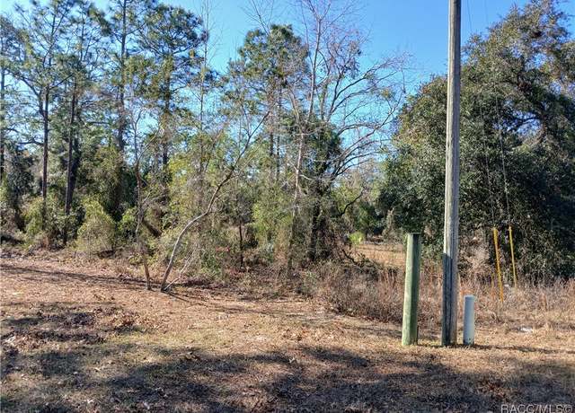 Property at 5490 W Mannis Ct, Homosassa, FL 34446