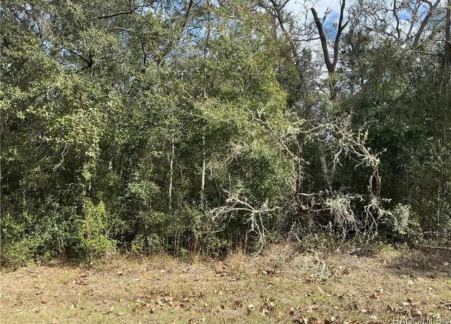 Property at 10535 N Skylark Ter, Citrus Springs, FL 34434