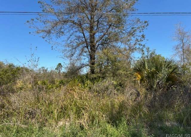 Property at 5499 E Stokes Ferry Rd, Hernando, FL 34442