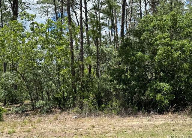 Property at 8959 N Farrington Dr, Citrus Springs, FL 34433