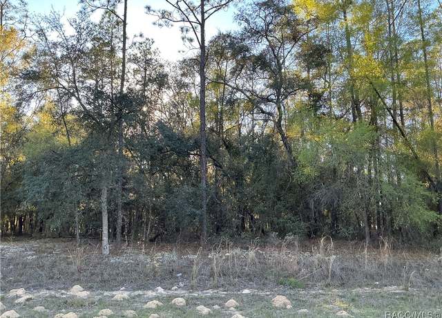 Property at 8468 N Wallingford Ave, Citrus Springs, FL 34434