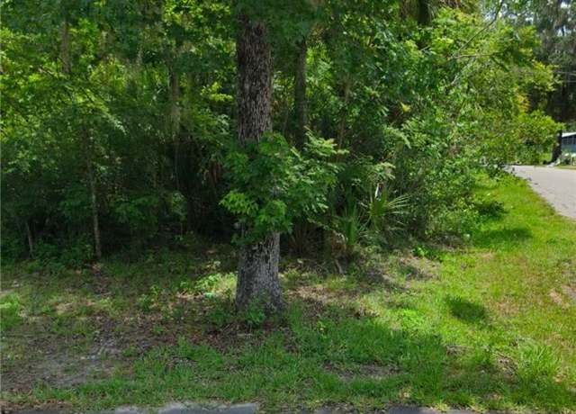 Property at TBD County Road 428 Rd, Lake Panasoffkee, FL 33538