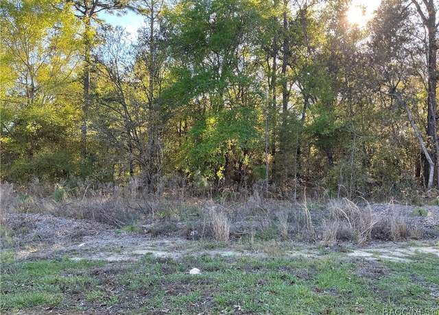 Property at 9262 N Pineview Way, Citrus Springs, FL 34434