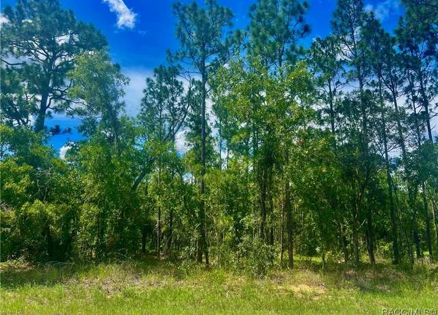 Property at 4 Pagoda Ct E, Homosassa, FL 34446