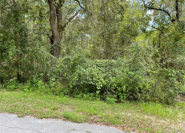 Property at LOTS 13, 14 SW Shorewood Dr, Dunnellon, FL 34431