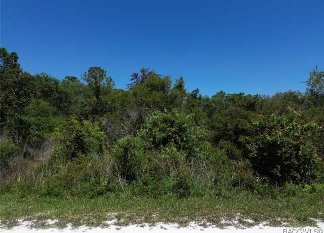 Property at 33455 Berryhill Dr, Webster, FL 33597