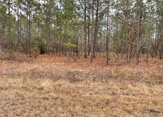 Property at LOT 25 SE 138th Ave, Dunnellon, FL 34431