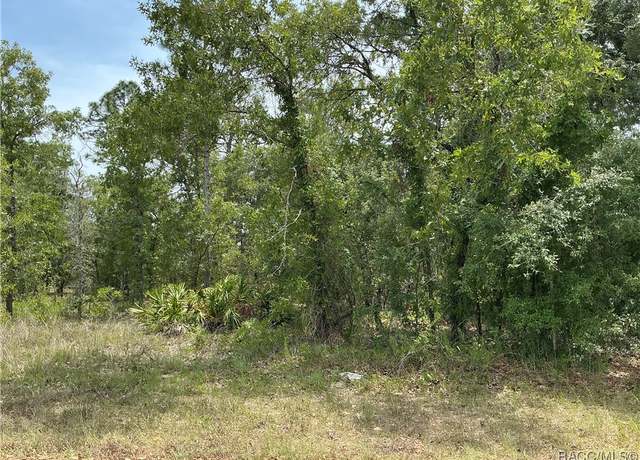 Property at 20 Poppy St, Homosassa, FL 34446
