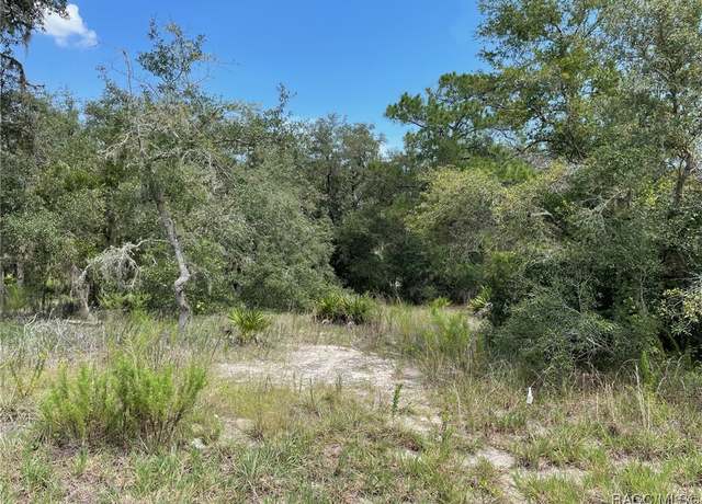 Property at LOTS 462, 463 SW Shorewood Dr, Dunnellon, FL 34431