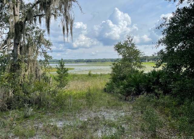 Property at LOTS 462, 463 SW Shorewood Dr, Dunnellon, FL 34431