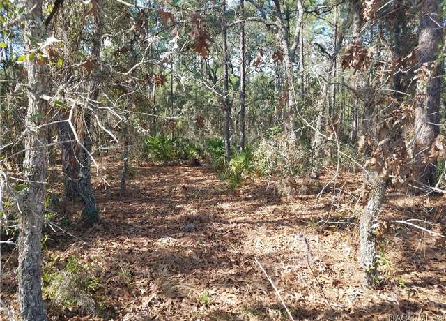 Property at 4 Elder Ct E, Homosassa, FL 34446