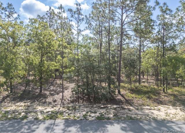 Property at 5 Fringetree Ct, Homosassa, FL 34446