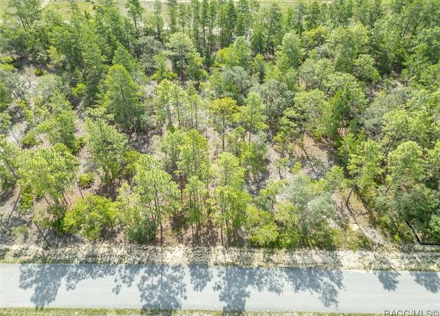 Property at 7 Fringetree Ct, Homosassa, FL 34446