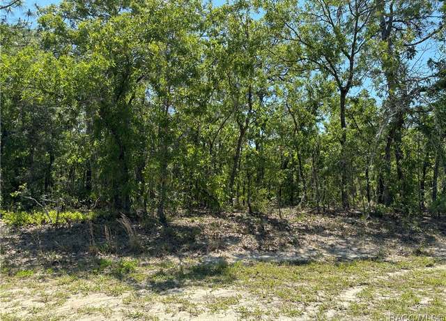 Property at 3299 N Reno Way, Beverly Hills, FL 34465