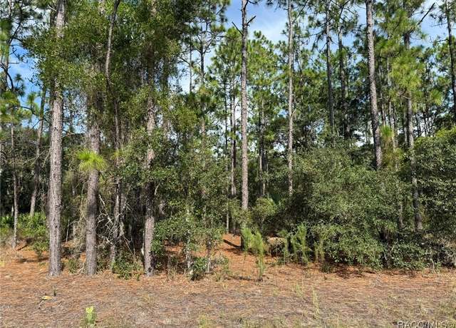 Property at 11109 N Trigger Ter, Citrus Springs, FL 34433