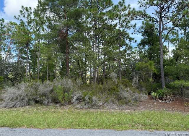 Property at 11127 N Trigger Ter, Citrus Springs, FL 34433