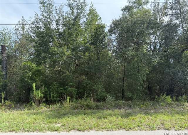 Property at 2538 W Dellwood St, Citrus Springs, FL 34434
