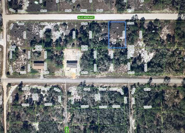 Property at 325 Blue Moon Ave, Lake Placid, FL 33852