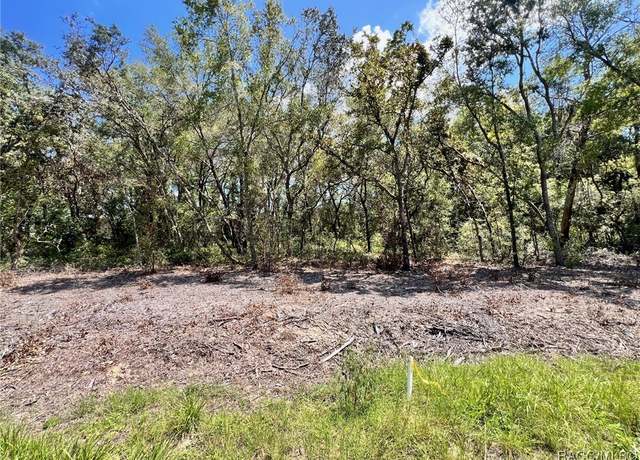 Property at 2408 Clearwood St, Inverness, FL 34452