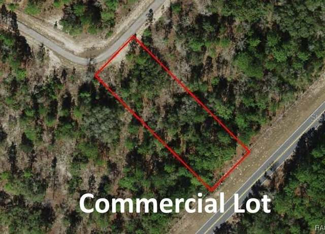 Property at 10522 N Elkcam Blvd, Citrus Springs, FL 34433