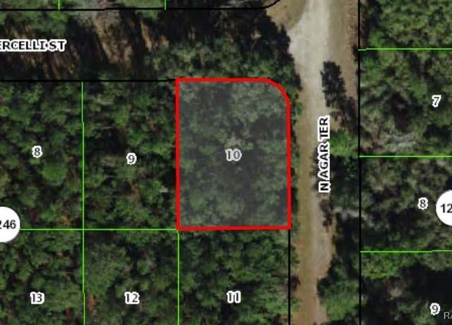 Property at 1124 E Vercelli Ave, Citrus Springs, FL 34434