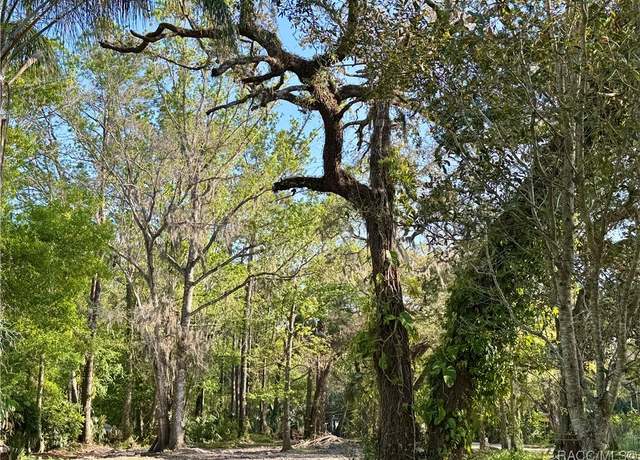 Property at 10600 and 10603 W Oliver St, Homosassa, FL 34448