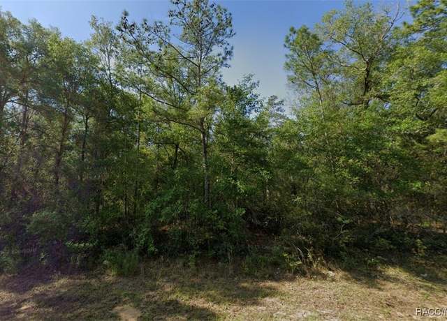 Property at 394 E Overdale Ln, Dunnellon, FL 34434