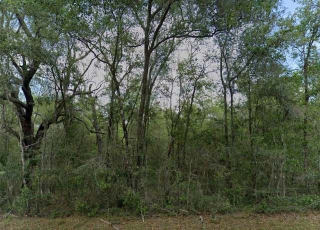 Property at 829 E Abend Dr, Dunnellon, FL 34434