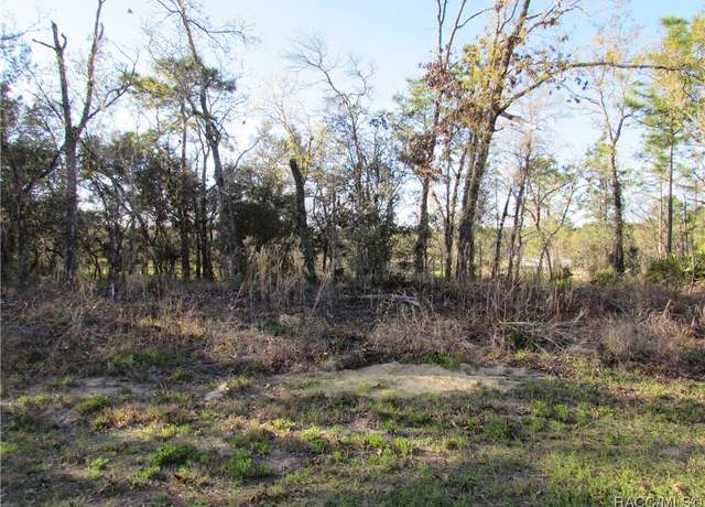 Property at 1255 W Nankeen Dr, Dunnellon, FL 34434