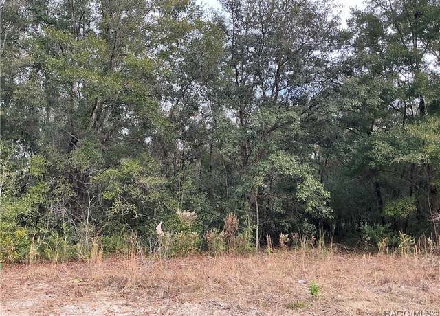 Property at 10623 N Didiscus Dr, Citrus Springs, FL 34434