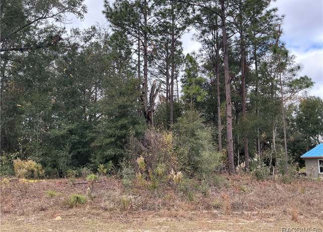 Property at 11590 N Condor Dr, Citrus Springs, FL 34433
