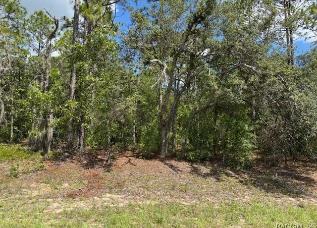 Property at 7462 N Sugarberry Dr, Citrus Springs, FL 34434