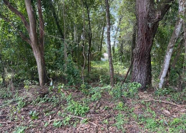 Property at 403 Violet Ln, Inverness, FL 34452
