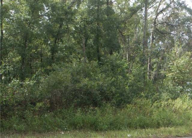 Property at 138 N Rooks Ave, Inverness, FL 34453